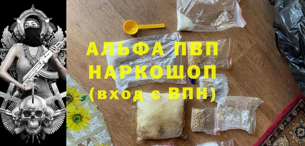 стафф Алексин