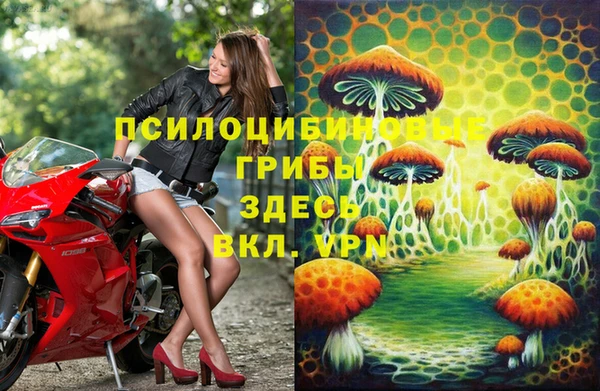 прущая мука Алзамай