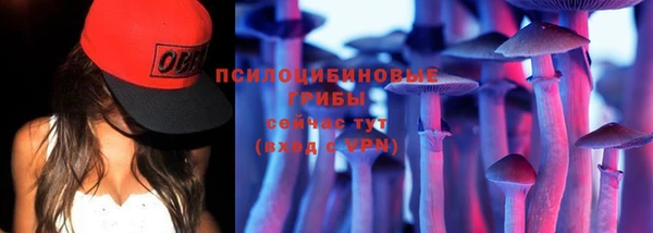 стафф Алексин