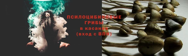 гидропоника Аркадак