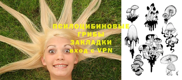 ALPHA PVP Алексеевка