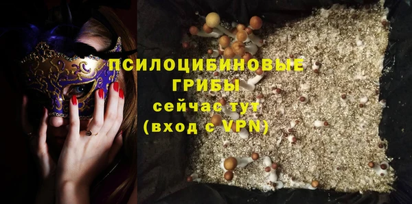 ALPHA PVP Алексеевка