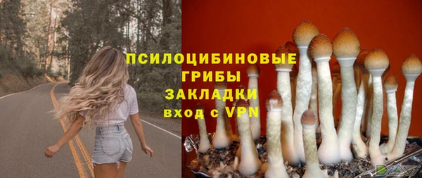 гидропоника Аркадак