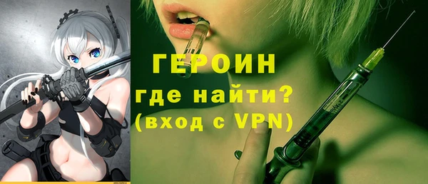 индика Арсеньев